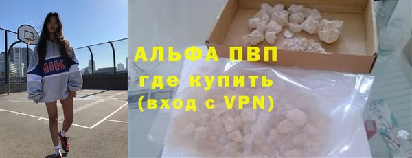 хмурый Абаза