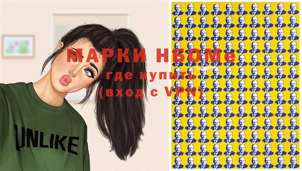 хмурый Абаза