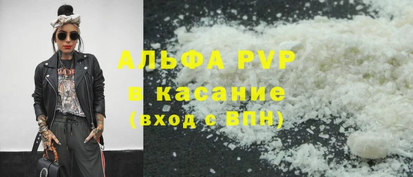хмурый Абаза
